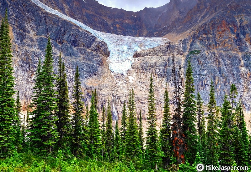 Picture in Jasper of Cavell Meadows with Angel Glacier in the background