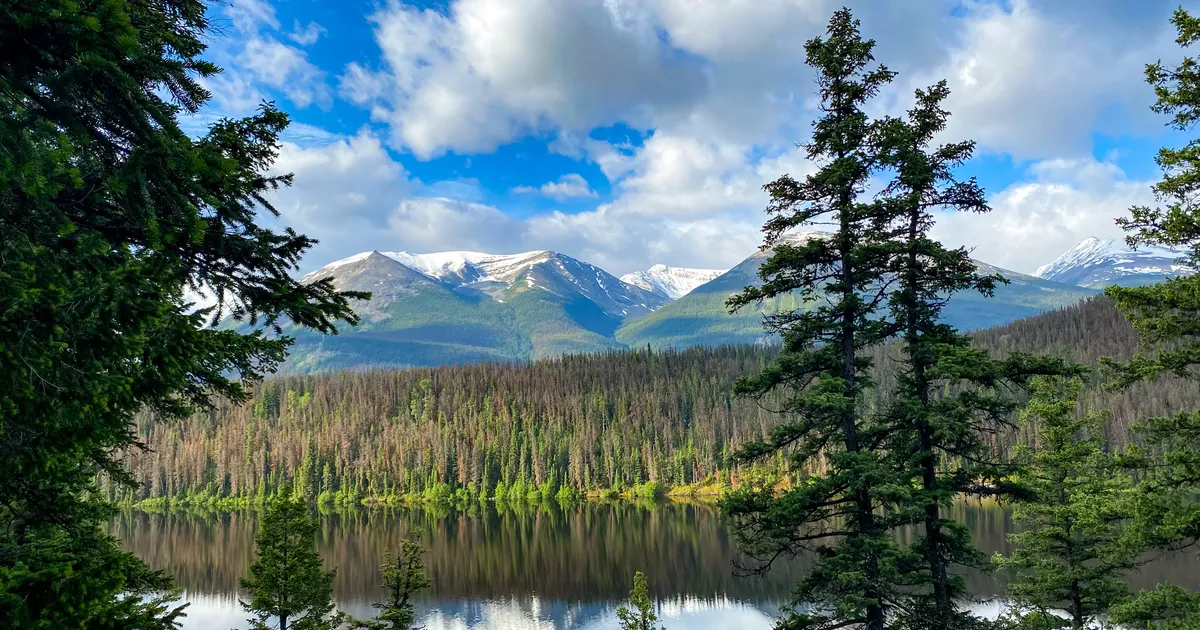 Hidden Gem Saturday Night Lake trail loop Jasper Alberta
